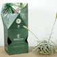 Till. cacticola thin leaf silver