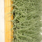 Cuadro vivo de Tillandsias